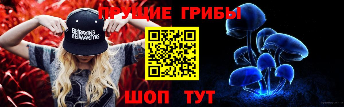 Ангарск  Псилоцибиновые грибы GOLDEN TEACHER  Вход с VPN 